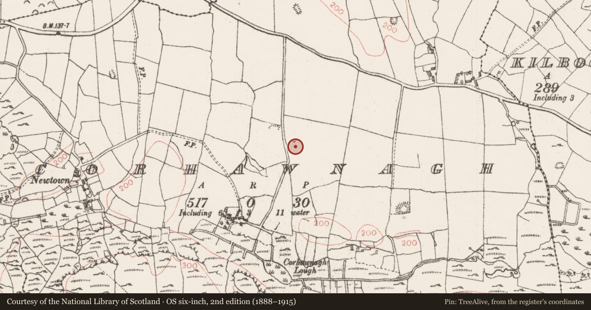 Ordnance Survey six-inch map, 2nd edition (1888–1915) covering the location of Megalithic tomb - court tomb, Corhawnagh, County Sligo, with a pin at the register's coordinates