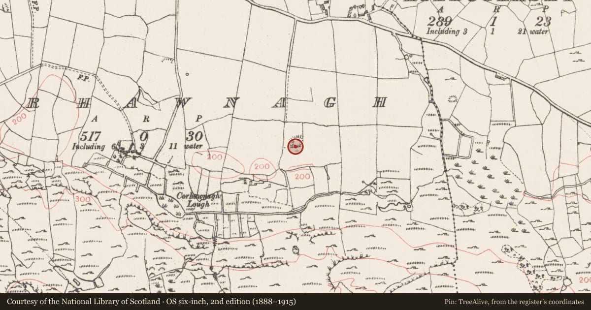 Ordnance Survey six-inch map, 2nd edition (1888–1915) covering the location of Ringfort - rath, Corhawnagh, County Sligo, with a pin at the register's coordinates