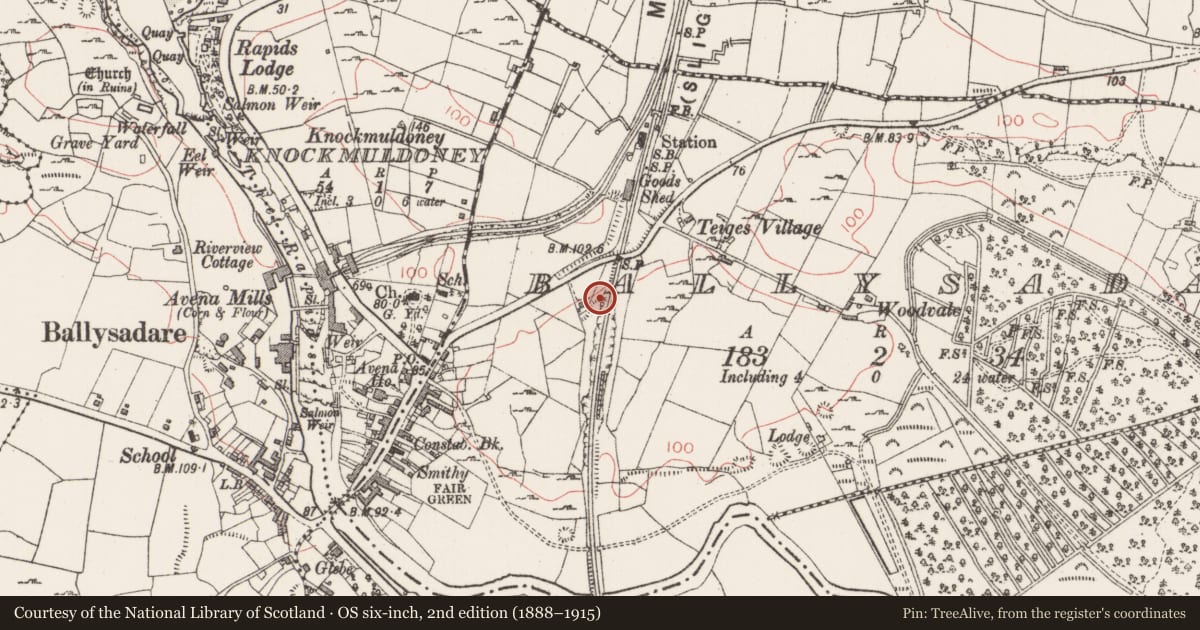 Ordnance Survey six-inch map, 2nd edition (1888–1915) covering the location of Megalithic tomb - unclassified, Ballysadare, County Sligo, with a pin at the register's coordinates