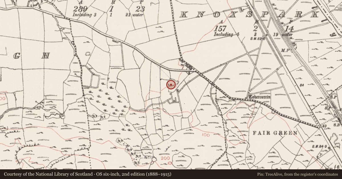 Ordnance Survey six-inch map, 2nd edition (1888–1915) covering the location of Ringfort - cashel, Kilboglashy, County Sligo, with a pin at the register's coordinates