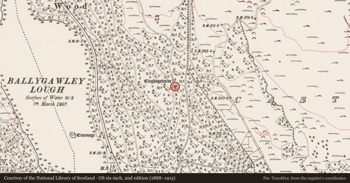 Ordnance Survey six-inch map, 2nd edition (1888–1915) covering the location of Stone row, Ballydawley, County Sligo, with a pin at the register's coordinates