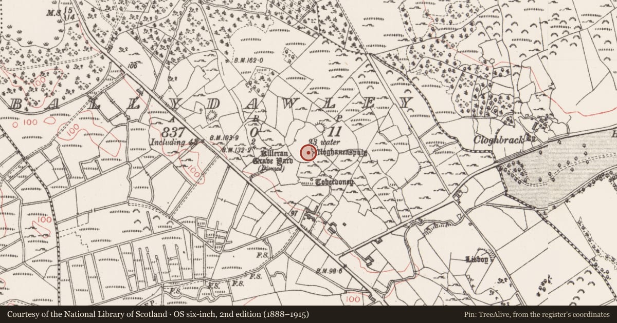 Ordnance Survey six-inch map, 2nd edition (1888–1915) covering the location of Standing stone, Ballydawley, County Sligo, with a pin at the register's coordinates
