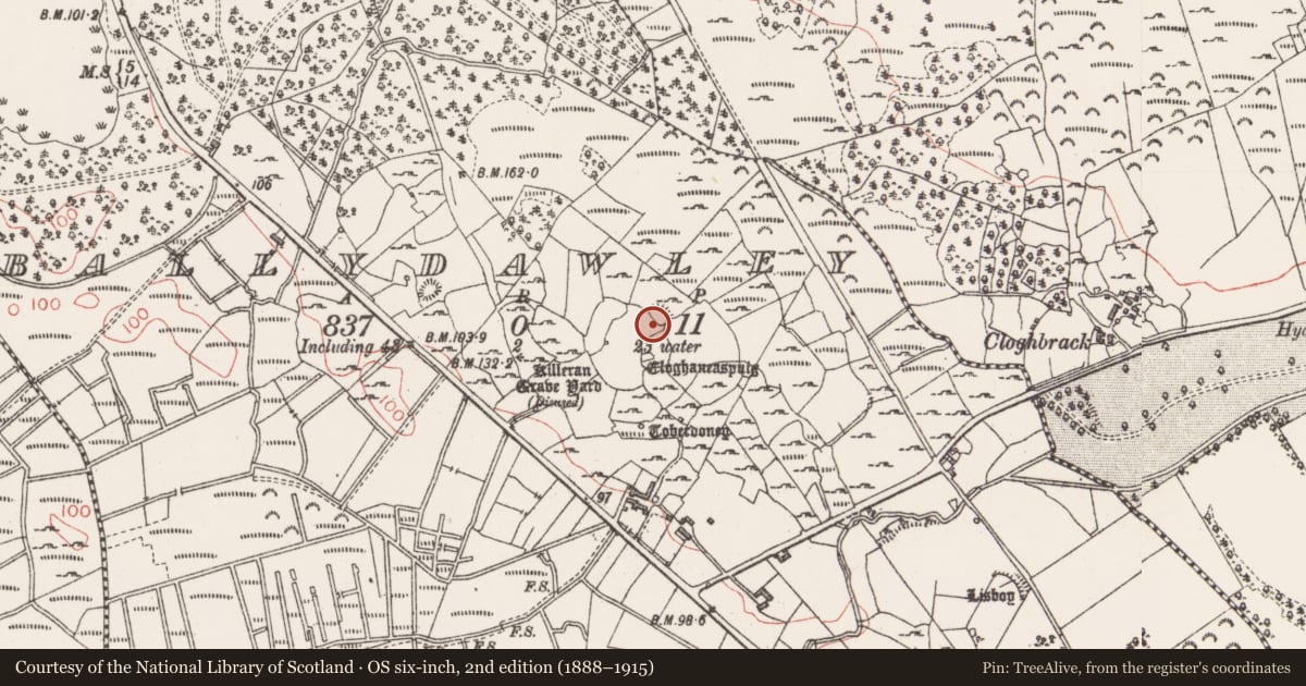 Ordnance Survey six-inch map, 2nd edition (1888–1915) covering the location of Ringfort - cashel, Ballydawley, County Sligo, with a pin at the register's coordinates