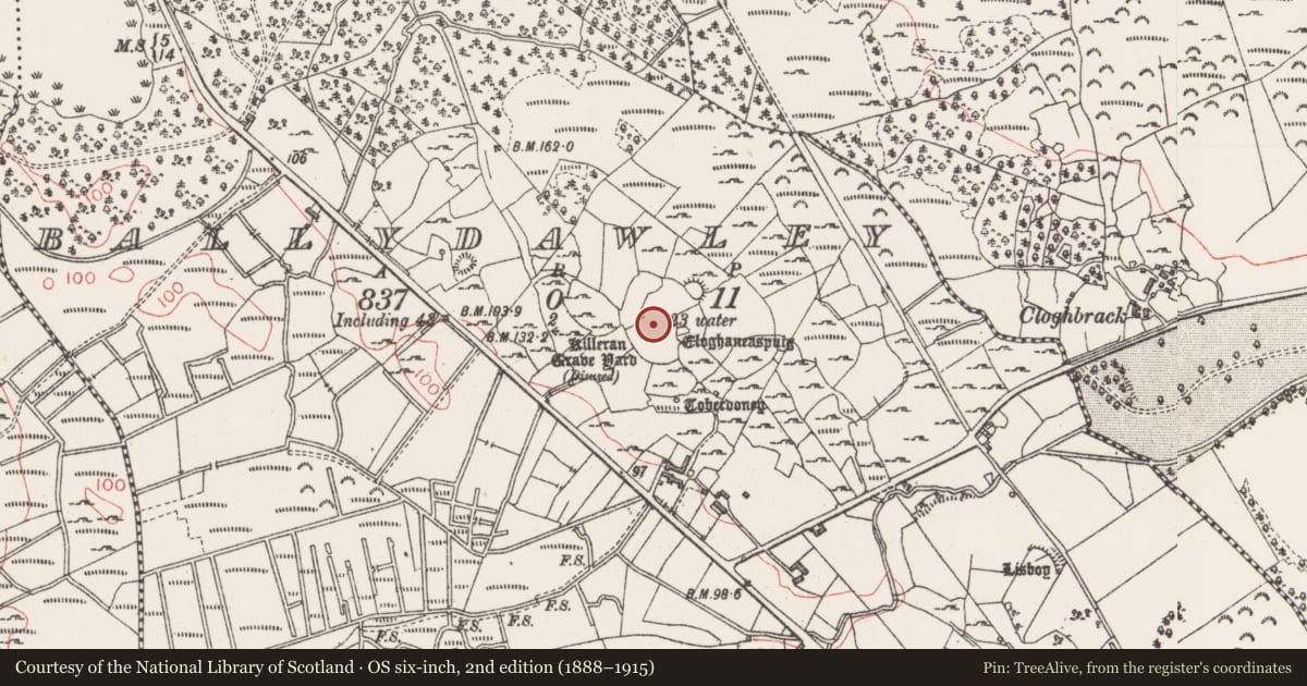 Ordnance Survey six-inch map, 2nd edition (1888–1915) covering the location of Stone head, Ballydawley, County Sligo, with a pin at the register's coordinates