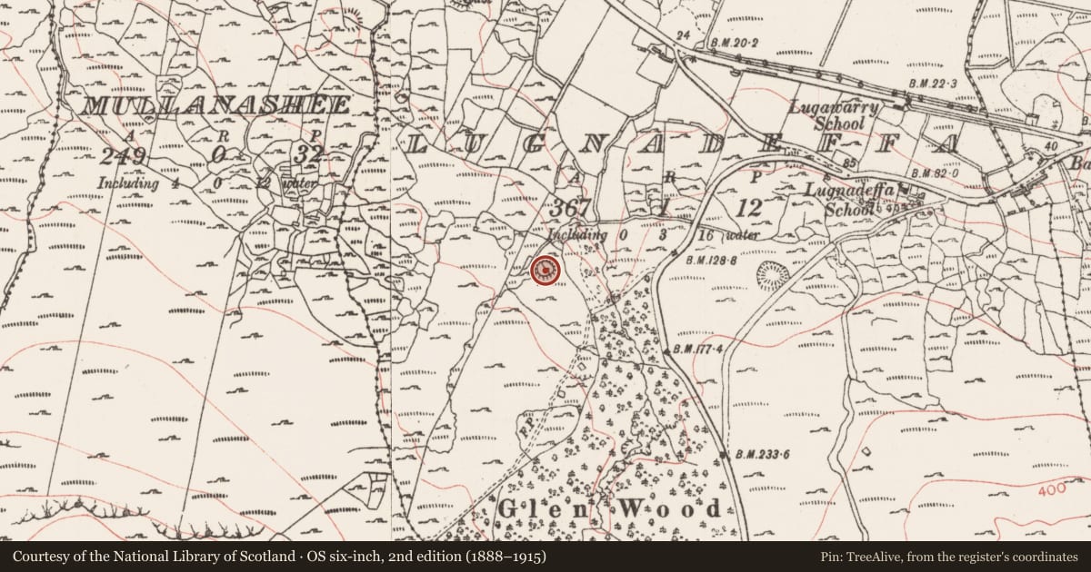Ordnance Survey six-inch map, 2nd edition (1888–1915) covering the location of Ringfort - rath, Lugnadeffa, County Sligo, with a pin at the register's coordinates