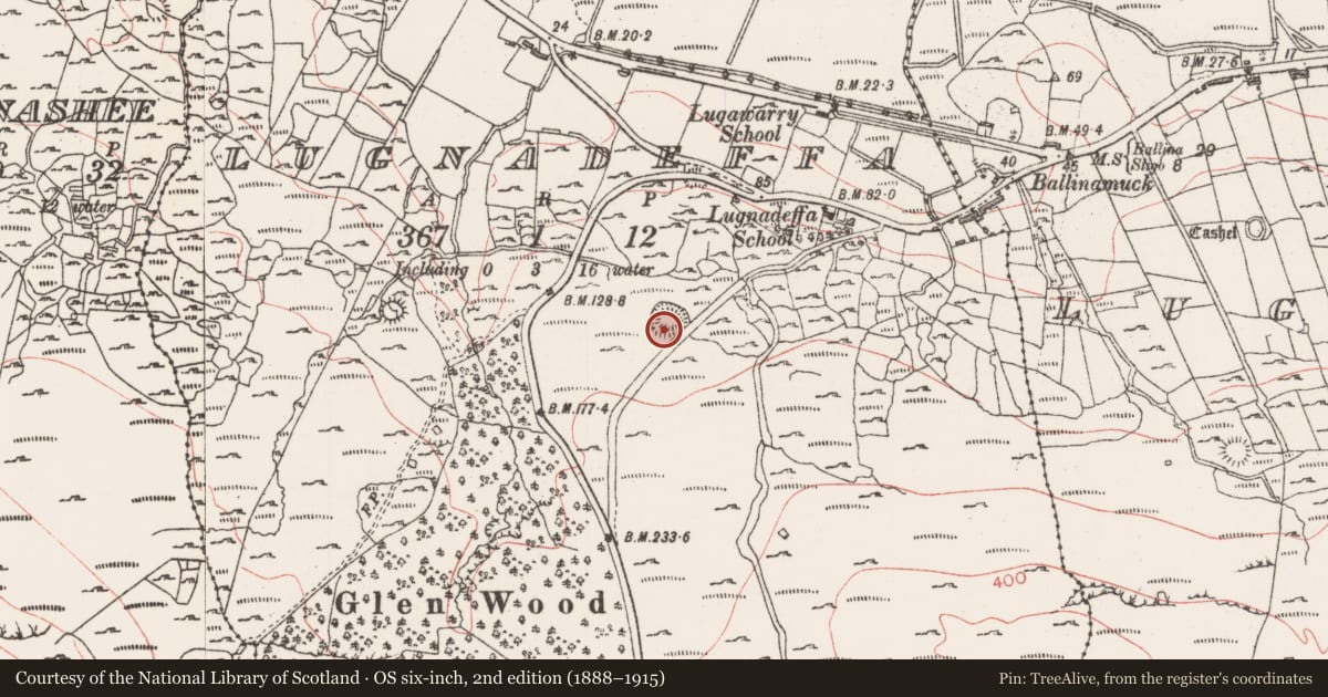 Ordnance Survey six-inch map, 2nd edition (1888–1915) covering the location of Ringfort - rath, Lugnadeffa, County Sligo, with a pin at the register's coordinates