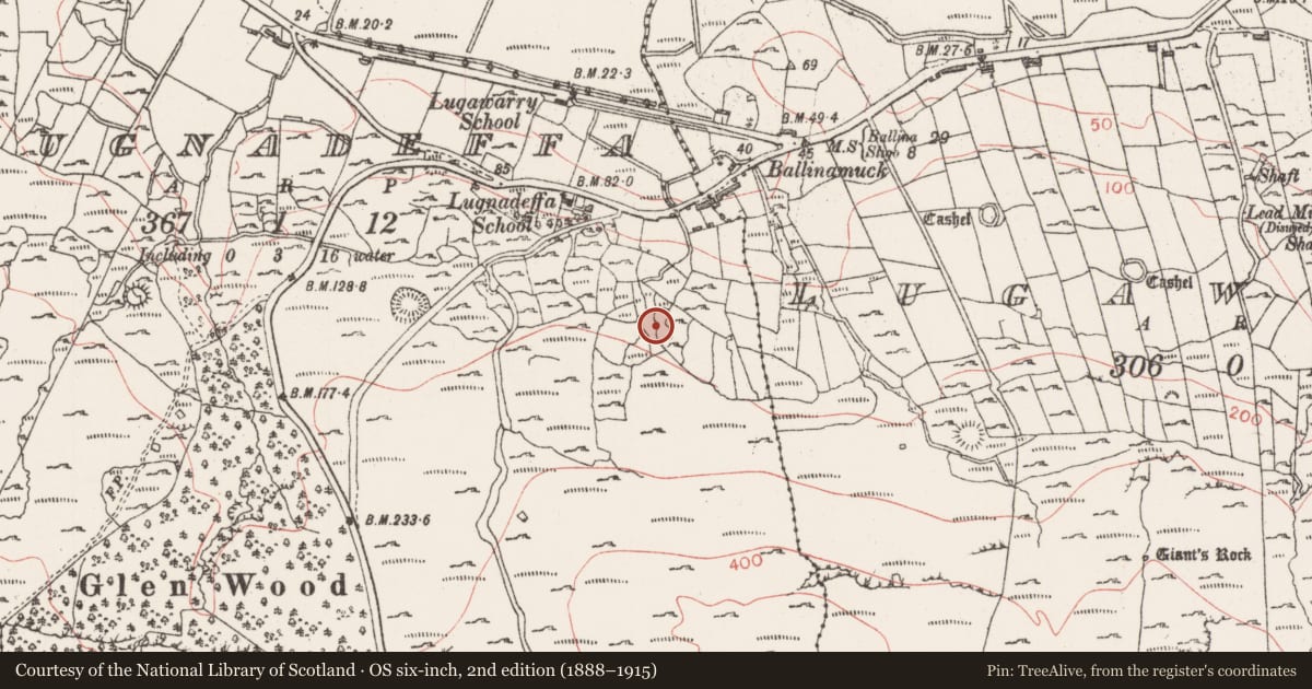 Ordnance Survey six-inch map, 2nd edition (1888–1915) covering the location of Ringfort - cashel, Lugnadeffa, County Sligo, with a pin at the register's coordinates