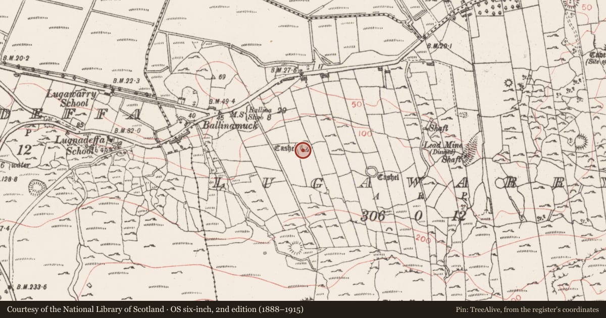 Ordnance Survey six-inch map, 2nd edition (1888–1915) covering the location of Ringfort - cashel, Lugawarry, County Sligo, with a pin at the register's coordinates