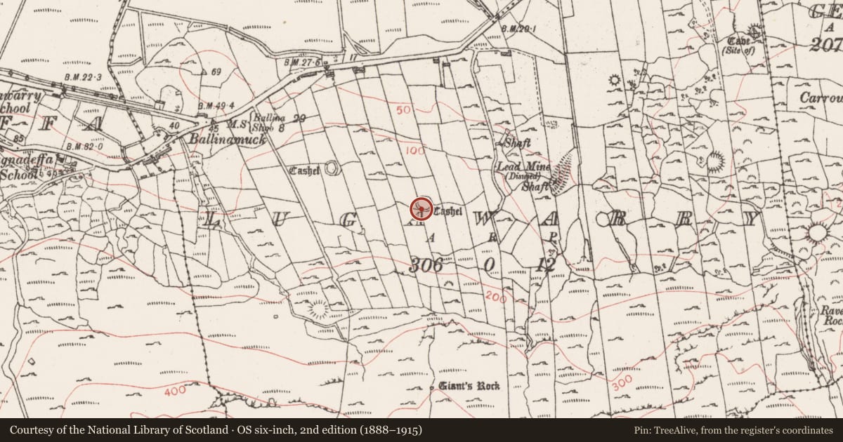 Ordnance Survey six-inch map, 2nd edition (1888–1915) covering the location of Ringfort - cashel, Lugawarry, County Sligo, with a pin at the register's coordinates