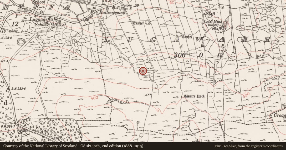 Ordnance Survey six-inch map, 2nd edition (1888–1915) covering the location of Ringfort - rath, Lugawarry, County Sligo, with a pin at the register's coordinates
