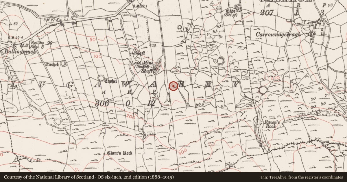 Ordnance Survey six-inch map, 2nd edition (1888–1915) covering the location of Ringfort - cashel, Lugawarry, County Sligo, with a pin at the register's coordinates