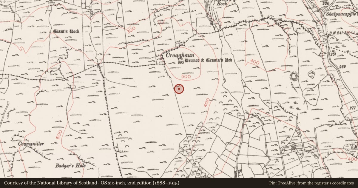 Ordnance Survey six-inch map, 2nd edition (1888–1915) covering the location of Field boundary, Glen, County Sligo, with a pin at the register's coordinates