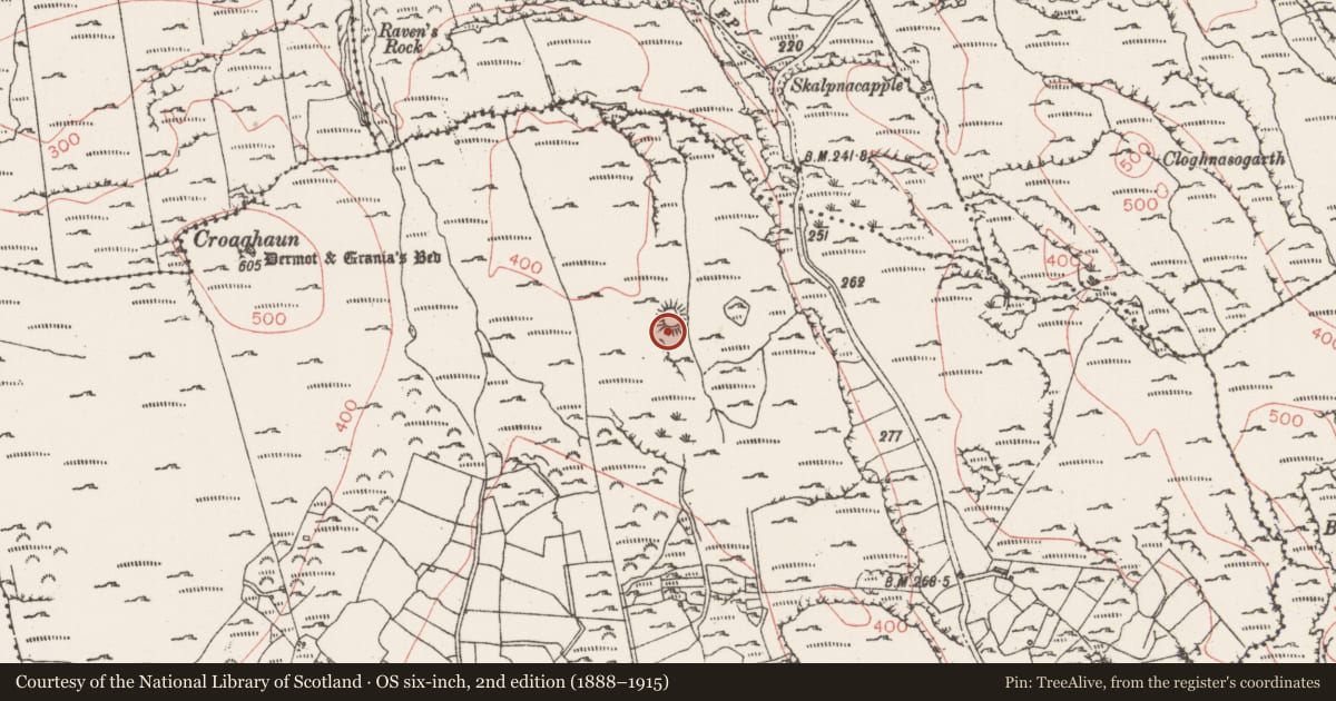 Ordnance Survey six-inch map, 2nd edition (1888–1915) covering the location of Enclosure, Glen, County Sligo, with a pin at the register's coordinates