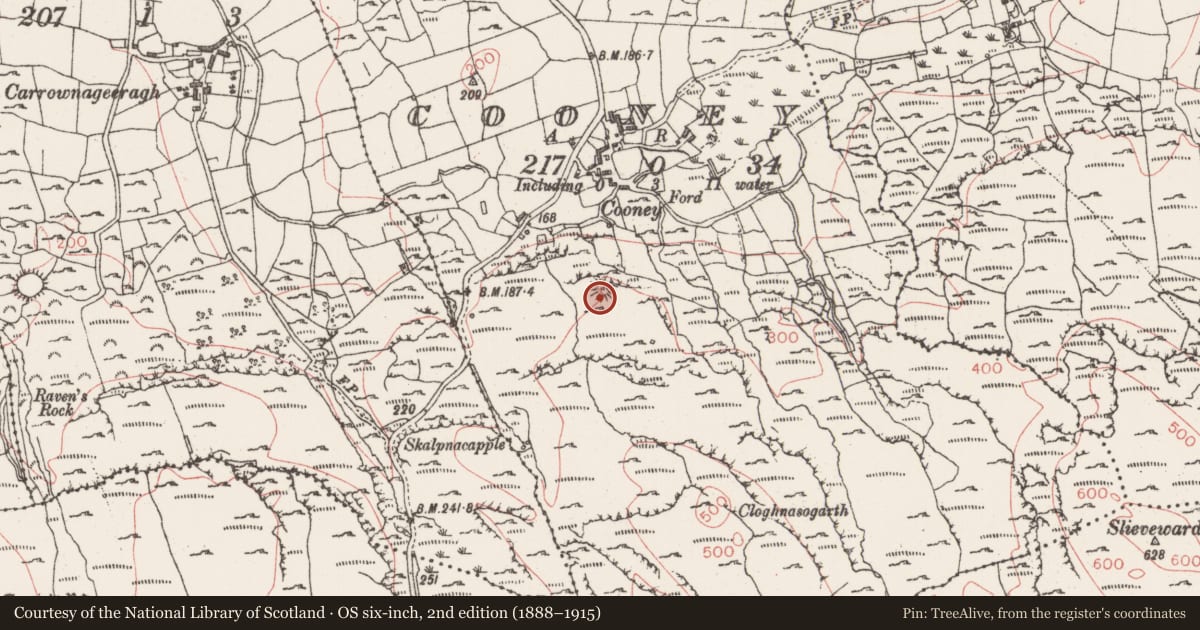 Ordnance Survey six-inch map, 2nd edition (1888–1915) covering the location of Cliff-edge fort, Cooney, County Sligo, with a pin at the register's coordinates