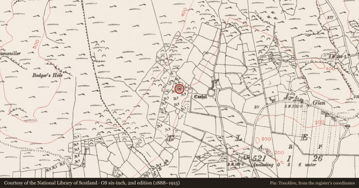 Ordnance Survey six-inch map, 2nd edition (1888–1915) covering the location of Ringfort - cashel, Glen, County Sligo, with a pin at the register's coordinates