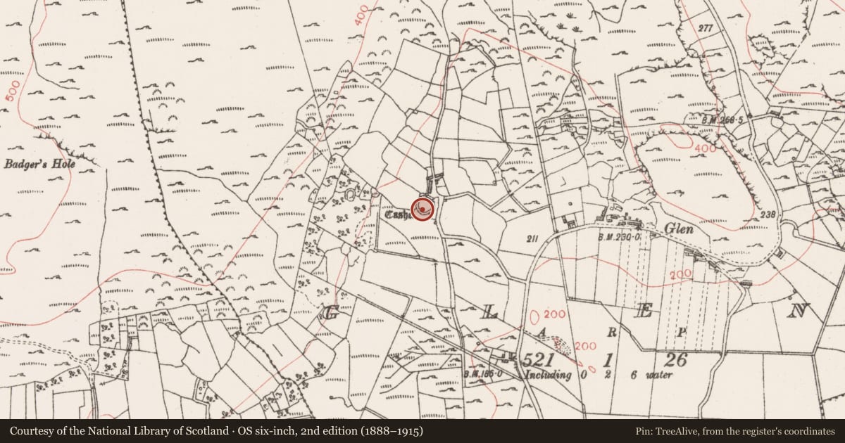 Ordnance Survey six-inch map, 2nd edition (1888–1915) covering the location of Ringfort - cashel, Glen, County Sligo, with a pin at the register's coordinates