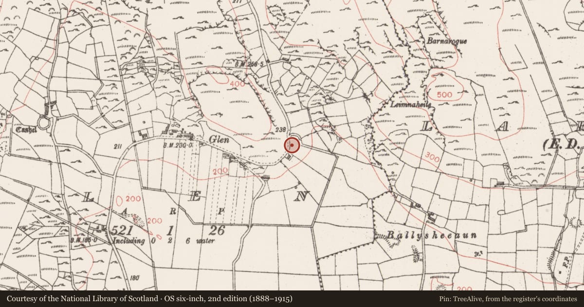 Ordnance Survey six-inch map, 2nd edition (1888–1915) covering the location of Ringfort - cashel, Glen, County Sligo, with a pin at the register's coordinates