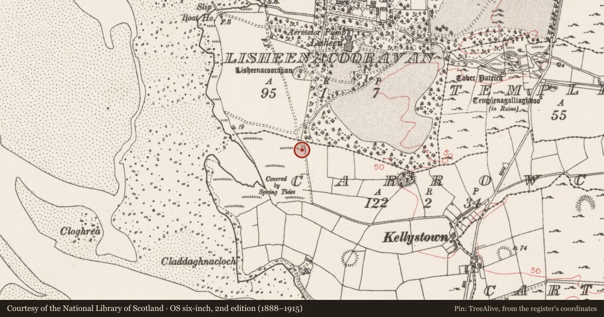 Ordnance Survey six-inch map, 2nd edition (1888–1915) covering the location of Field boundary, Carrowcrin, County Sligo, with a pin at the register's coordinates