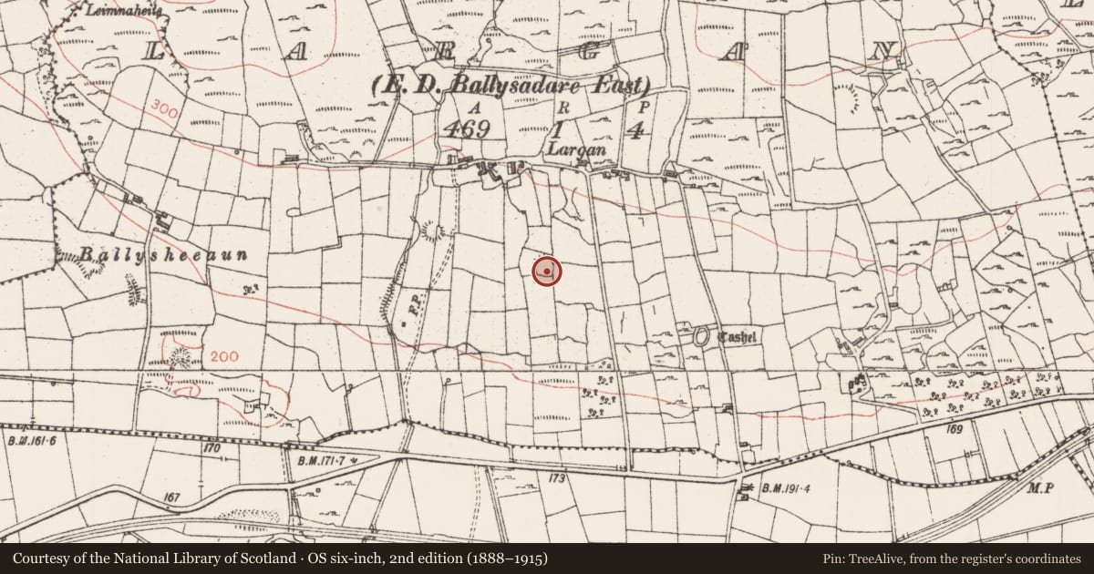 Ordnance Survey six-inch map, 2nd edition (1888–1915) covering the location of Ringfort - rath, Largan, County Sligo, with a pin at the register's coordinates