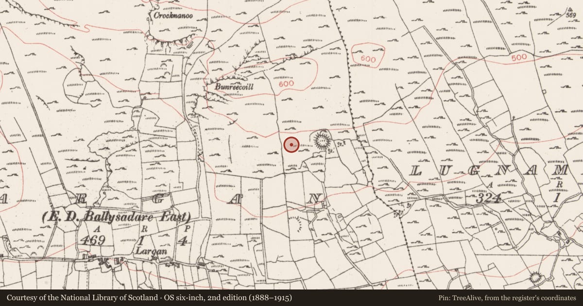 Ordnance Survey six-inch map, 2nd edition (1888–1915) covering the location of Enclosure, Largan, County Sligo, with a pin at the register's coordinates