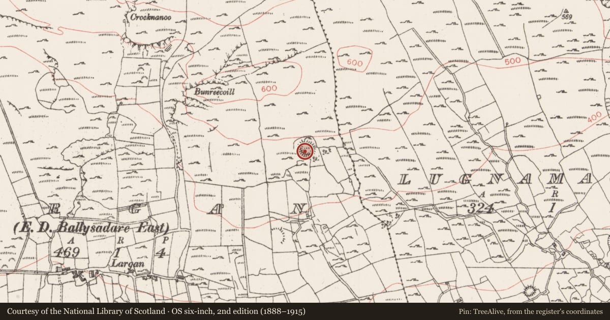 Ordnance Survey six-inch map, 2nd edition (1888–1915) covering the location of Ringfort - cashel, Largan, County Sligo, with a pin at the register's coordinates