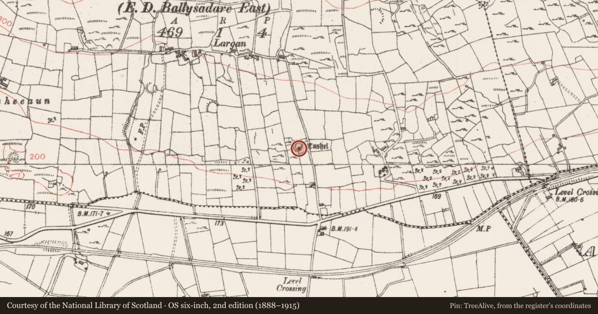 Ordnance Survey six-inch map, 2nd edition (1888–1915) covering the location of Ringfort - cashel, Largan, County Sligo, with a pin at the register's coordinates