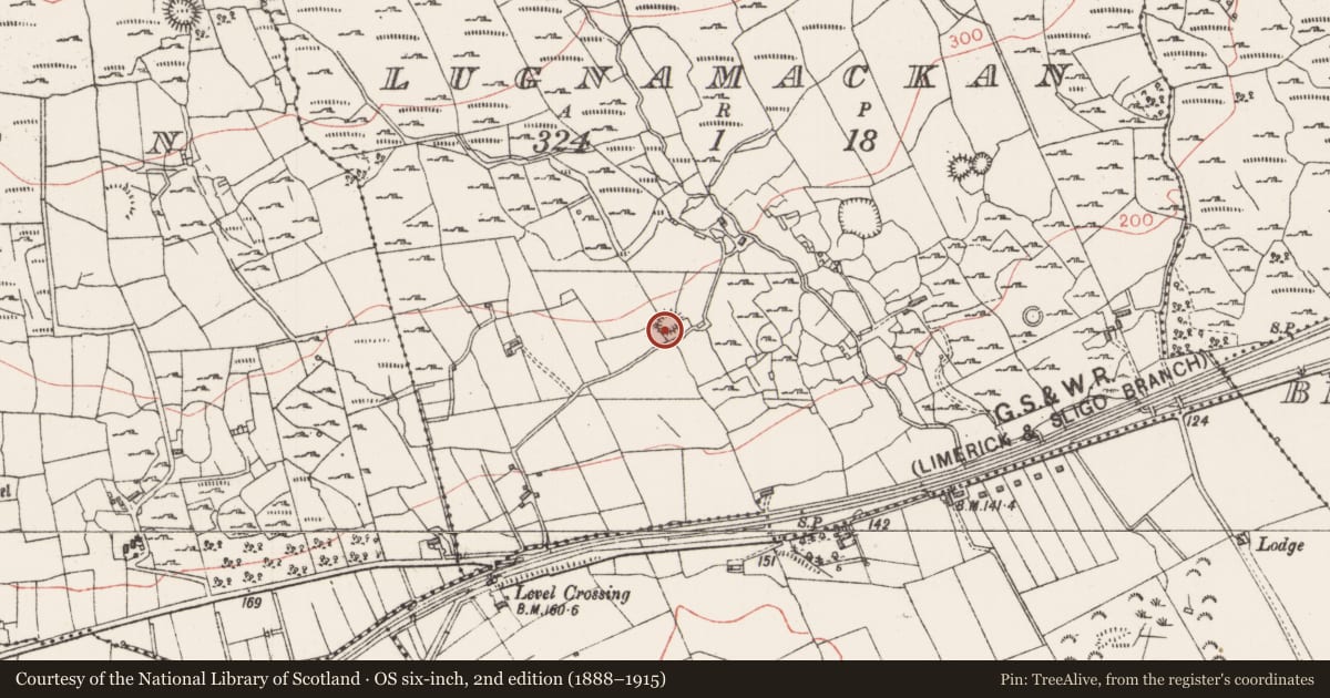 Ordnance Survey six-inch map, 2nd edition (1888–1915) covering the location of Ringfort - cashel, Lugnamackan, County Sligo, with a pin at the register's coordinates