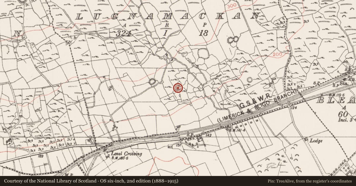 Ordnance Survey six-inch map, 2nd edition (1888–1915) covering the location of Enclosure, Lugnamackan, County Sligo, with a pin at the register's coordinates