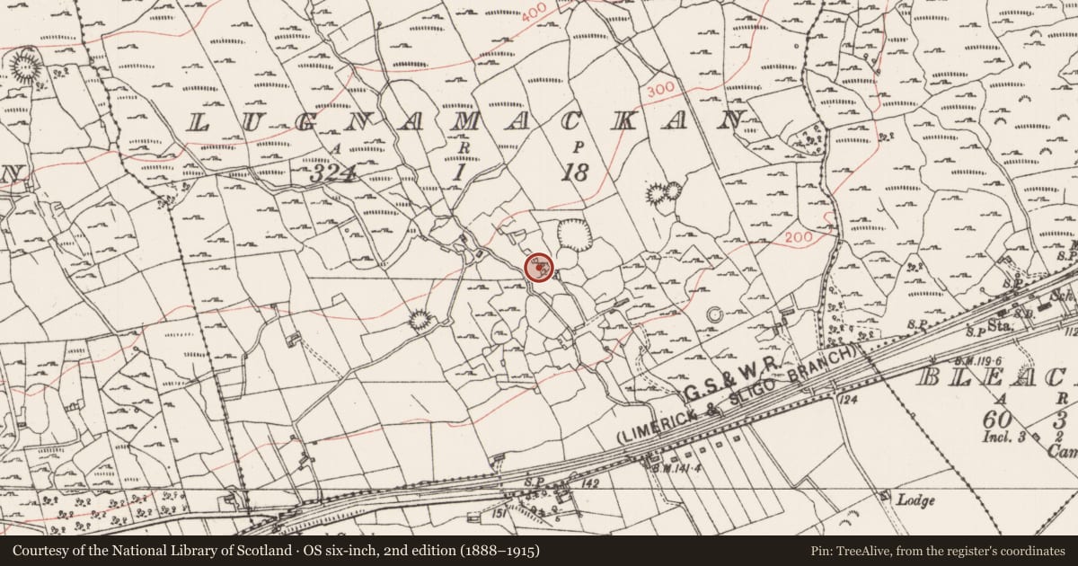 Ordnance Survey six-inch map, 2nd edition (1888–1915) covering the location of Enclosure, Lugnamackan, County Sligo, with a pin at the register's coordinates