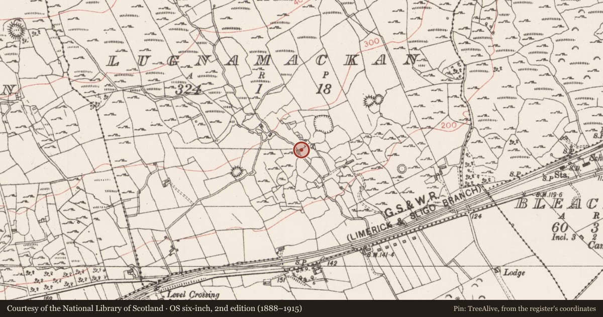 Ordnance Survey six-inch map, 2nd edition (1888–1915) covering the location of Enclosure, Lugnamackan, County Sligo, with a pin at the register's coordinates
