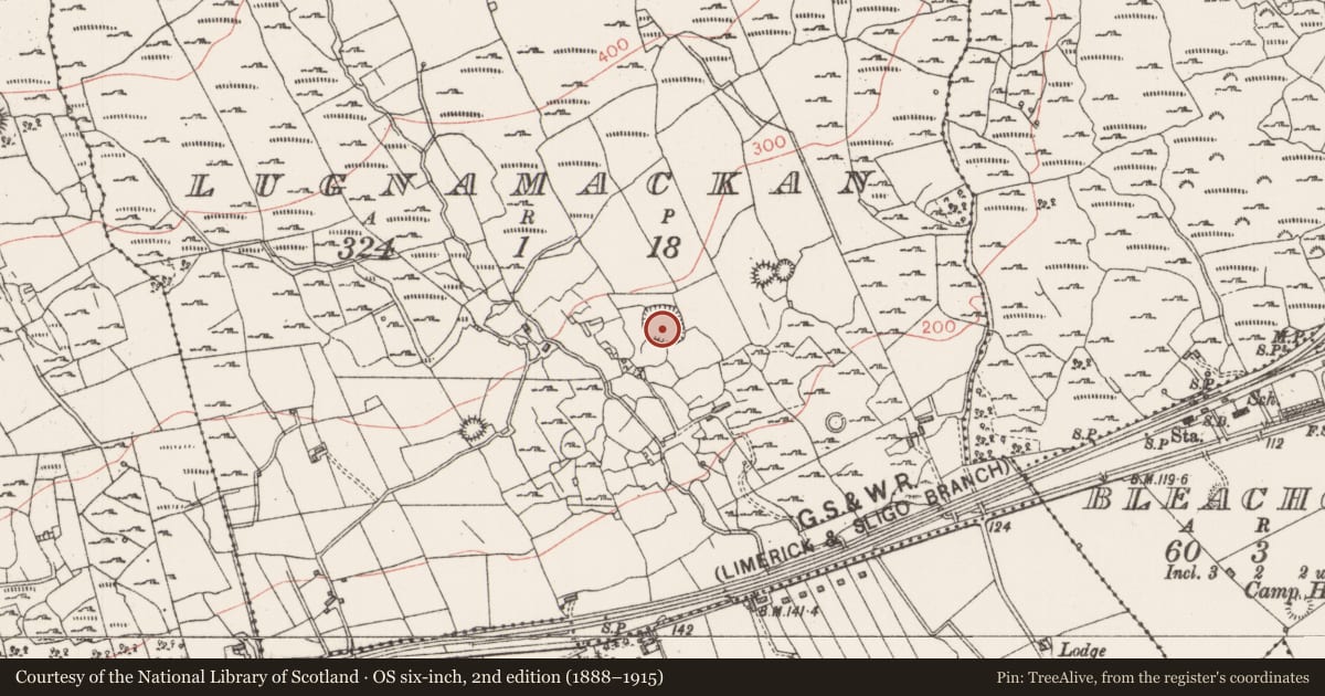 Ordnance Survey six-inch map, 2nd edition (1888–1915) covering the location of Ringfort - cashel, Lugnamackan, County Sligo, with a pin at the register's coordinates