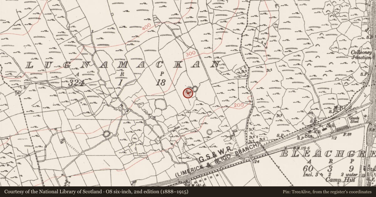 Ordnance Survey six-inch map, 2nd edition (1888–1915) covering the location of Ringfort - cashel, Lugnamackan, County Sligo, with a pin at the register's coordinates