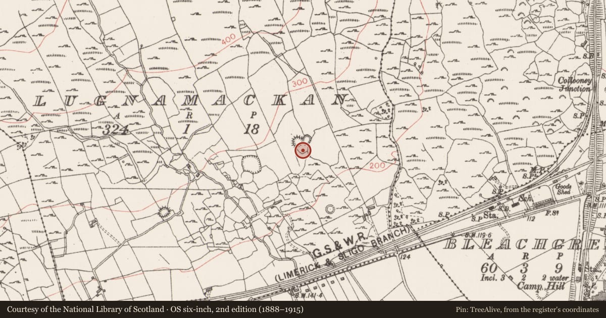 Ordnance Survey six-inch map, 2nd edition (1888–1915) covering the location of Ringfort - cashel, Lugnamackan, County Sligo, with a pin at the register's coordinates