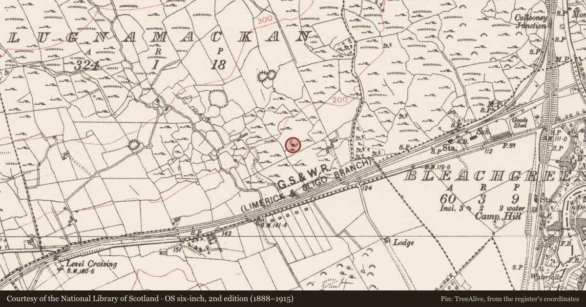Ordnance Survey six-inch map, 2nd edition (1888–1915) covering the location of Ringfort - cashel, Lugnamackan, County Sligo, with a pin at the register's coordinates