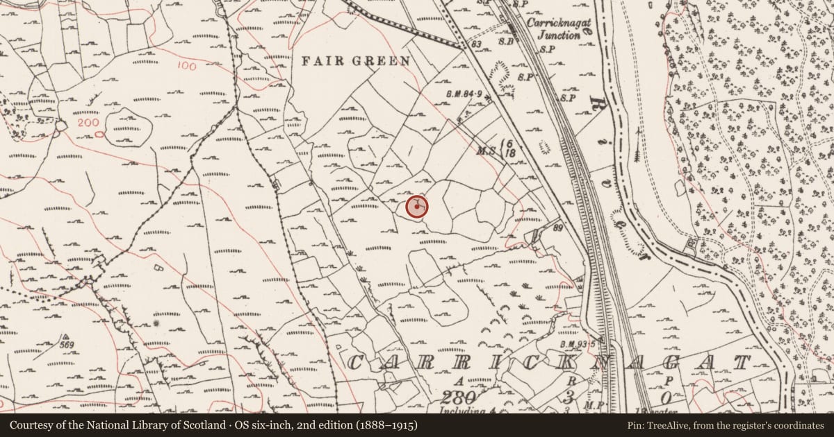 Ordnance Survey six-inch map, 2nd edition (1888–1915) covering the location of Ringfort - cashel, Carricknagat, County Sligo, with a pin at the register's coordinates