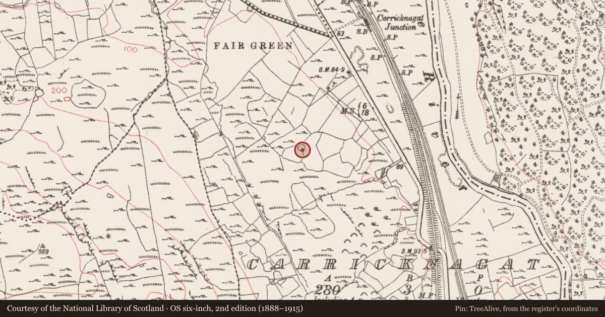 Ordnance Survey six-inch map, 2nd edition (1888–1915) covering the location of Field system, Carricknagat, County Sligo, with a pin at the register's coordinates