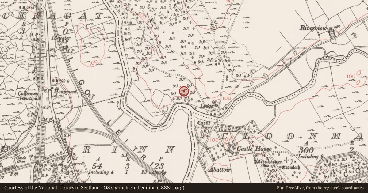 Ordnance Survey six-inch map, 2nd edition (1888–1915) covering the location of Ringfort - cashel, Union, County Sligo, with a pin at the register's coordinates