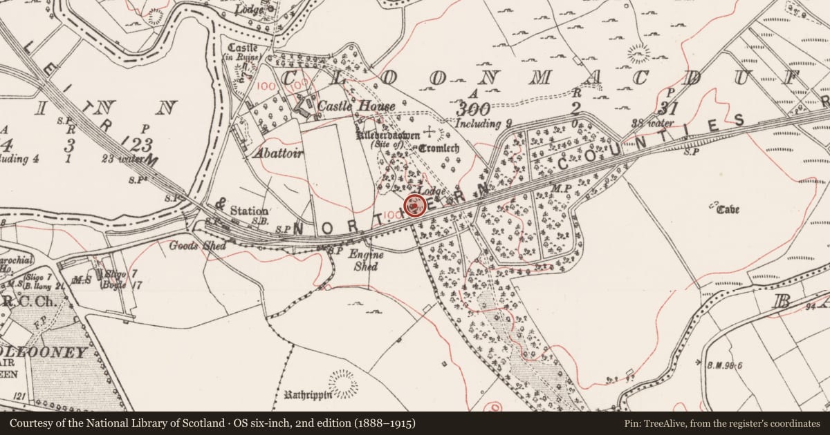 Ordnance Survey six-inch map, 2nd edition (1888–1915) covering the location of Ringfort - rath, Cloonmacduff, County Sligo, with a pin at the register's coordinates