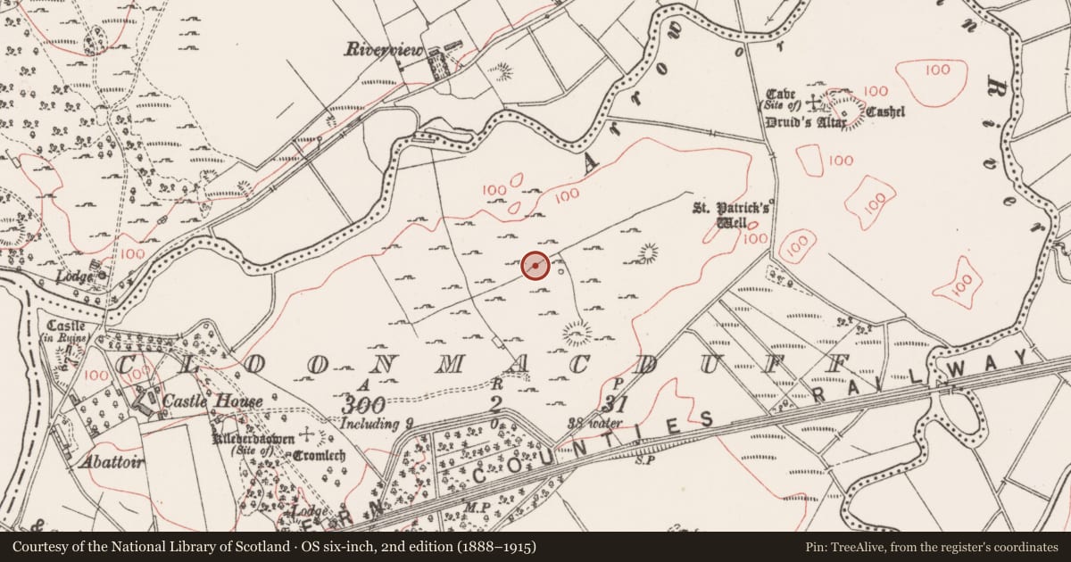 Ordnance Survey six-inch map, 2nd edition (1888–1915) covering the location of Ringfort - cashel, Cloonmacduff, County Sligo, with a pin at the register's coordinates