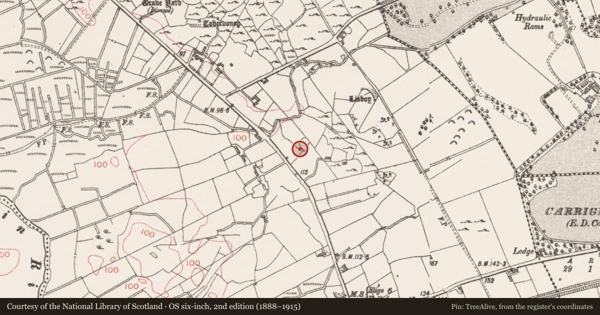 Ordnance Survey six-inch map, 2nd edition (1888–1915) covering the location of Ringfort - rath, Ballydawley, County Sligo, with a pin at the register's coordinates