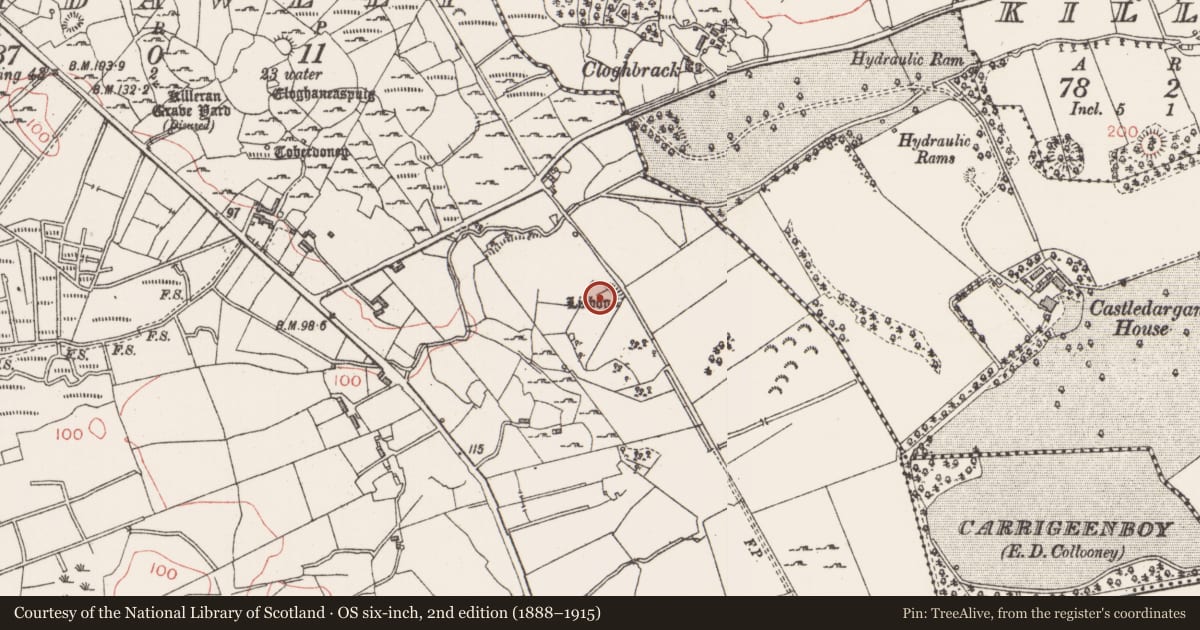Ordnance Survey six-inch map, 2nd edition (1888–1915) covering the location of Ringfort - rath, Ballydawley, County Sligo, with a pin at the register's coordinates