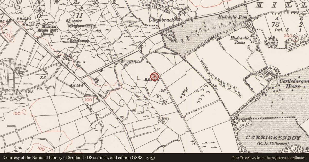 Ordnance Survey six-inch map, 2nd edition (1888–1915) covering the location of Souterrain, Ballydawley, County Sligo, with a pin at the register's coordinates
