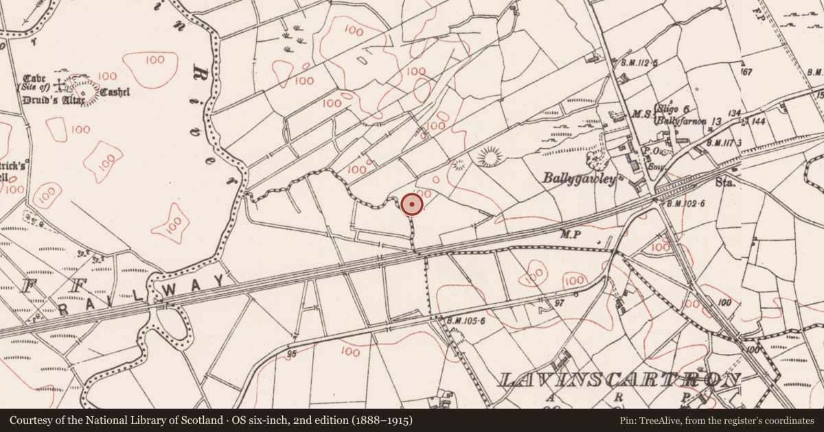 Ordnance Survey six-inch map, 2nd edition (1888–1915) covering the location of Ringfort - rath, Ballydawley, County Sligo, with a pin at the register's coordinates