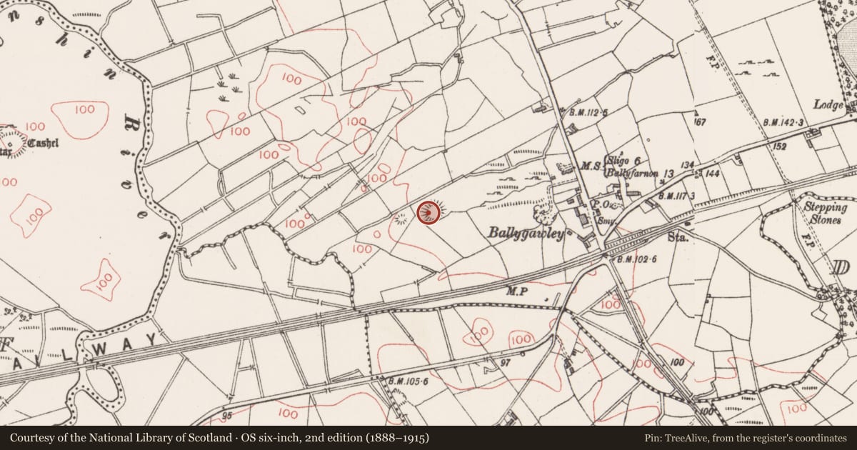 Ordnance Survey six-inch map, 2nd edition (1888–1915) covering the location of Ringfort - cashel, Ballydawley, County Sligo, with a pin at the register's coordinates