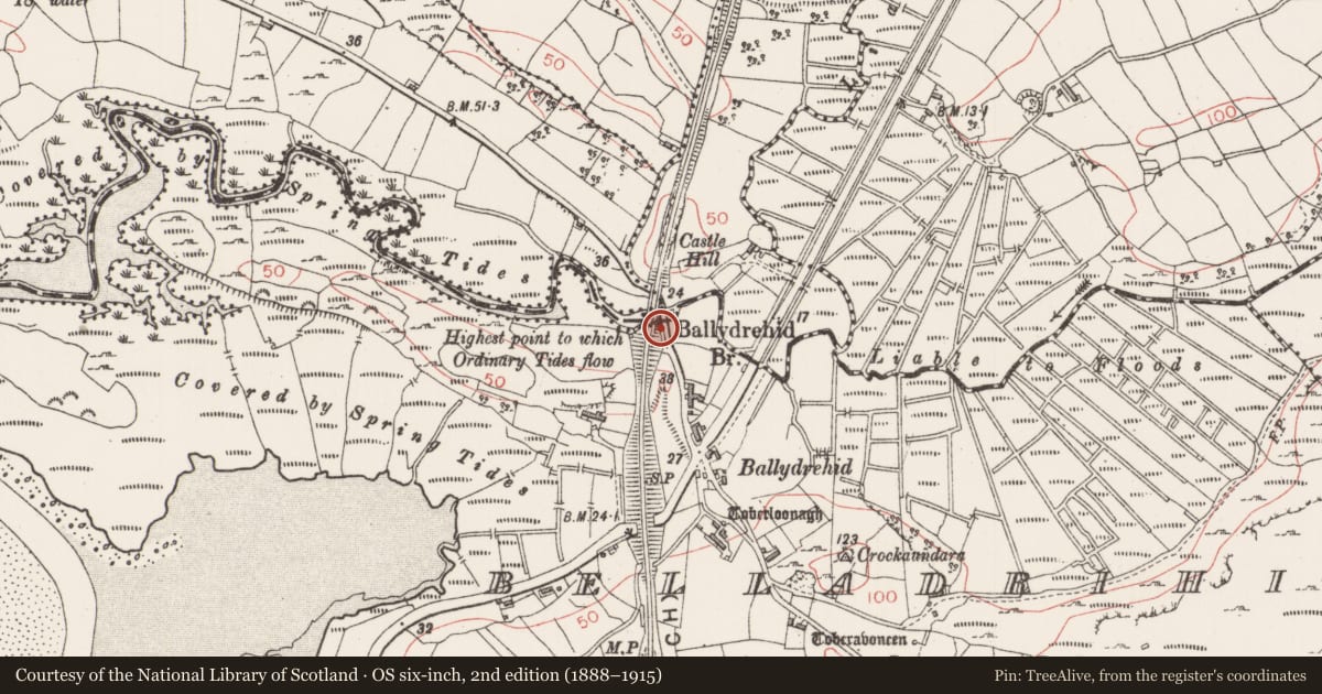 Ordnance Survey six-inch map, 2nd edition (1888–1915) covering the location of Bridge, County Sligo, with a pin at the register's coordinates