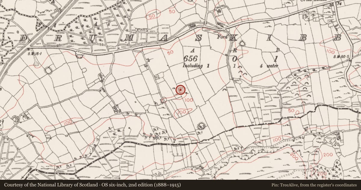 Ordnance Survey six-inch map, 2nd edition (1888–1915) covering the location of Megalithic tomb - unclassified, Drumaskibbole, County Sligo, with a pin at the register's coordinates