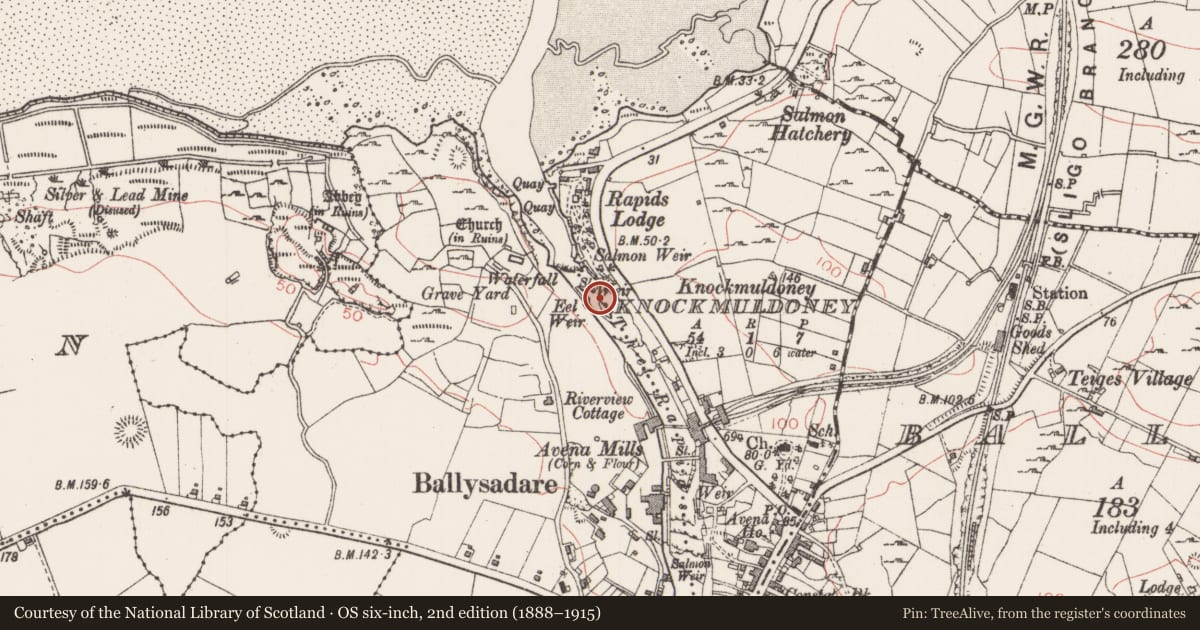 Ordnance Survey six-inch map, 2nd edition (1888–1915) covering the location of Bridge, Kilboglashy, Knockmuldoney, County Sligo, with a pin at the register's coordinates