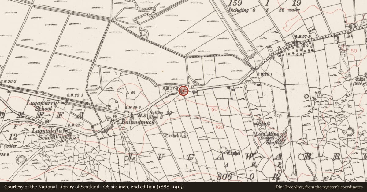Ordnance Survey six-inch map, 2nd edition (1888–1915) covering the location of Bullaun stone, Lugawarry, County Sligo, with a pin at the register's coordinates