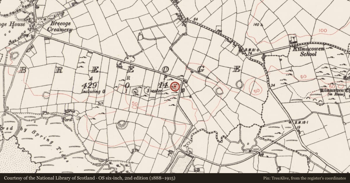 Ordnance Survey six-inch map, 2nd edition (1888–1915) covering the location of Kiln, Breeoge, County Sligo, with a pin at the register's coordinates