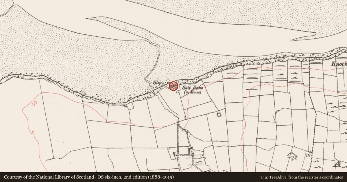 Ordnance Survey six-inch map, 2nd edition (1888–1915) covering the location of Salt works, Streamstown, County Sligo, with a pin at the register's coordinates